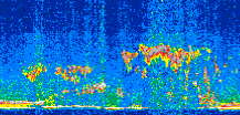 /calipso-imagery/data/BROWSE/production/V5-00/2014-03-20/2014-03-20_05-55-23_V5.00_2_thmb.png image missing