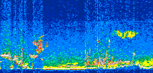 /calipso-imagery/data/BROWSE/production/V5-00/2014-03-20/2014-03-20_10-52-04_V5.00_2_thmb.png image missing
