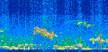 /calipso-imagery/data/BROWSE/production/V5-00/2014-03-20/2014-03-20_20-45-25_V5.00_2_thmb.png image missing
