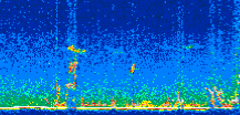 /calipso-imagery/data/BROWSE/production/V5-00/2014-04-28/2014-04-28_04-26-54_V5.00_2_thmb.png image missing