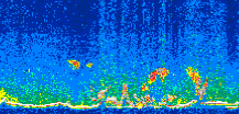 /calipso-imagery/data/BROWSE/production/V5-00/2014-04-28/2014-04-28_12-41-21_V5.00_3_thmb.png image missing
