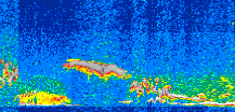 /calipso-imagery/data/BROWSE/production/V5-00/2014-05-01/2014-05-01_04-58-09_V5.00_3_thmb.png image missing