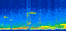 /calipso-imagery/data/BROWSE/production/V5-00/2014-05-01/2014-05-01_09-54-50_V5.00_2_thmb.png image missing