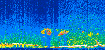 /calipso-imagery/data/BROWSE/production/V5-00/2014-05-01/2014-05-01_16-30-26_V5.00_3_thmb.png image missing