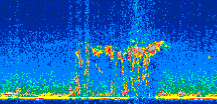 /calipso-imagery/data/BROWSE/production/V5-00/2014-05-04/2014-05-04_02-11-38_V5.00_2_thmb.png image missing