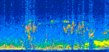 /calipso-imagery/data/BROWSE/production/V5-00/2014-05-04/2014-05-04_07-08-14_V5.00_2_thmb.png image missing
