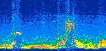 /calipso-imagery/data/BROWSE/production/V5-00/2014-05-04/2014-05-04_10-26-04_V5.00_2_thmb.png image missing