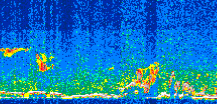 /calipso-imagery/data/BROWSE/production/V5-00/2014-05-06/2014-05-06_01-59-25_V5.00_3_thmb.png image missing