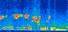 /calipso-imagery/data/BROWSE/production/V5-00/2014-05-06/2014-05-06_16-49-27_V5.00_2_thmb.png image missing