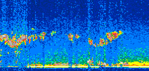 /calipso-imagery/data/BROWSE/production/V5-00/2014-05-06/2014-05-06_23-25-03_V5.00_2_thmb.png image missing
