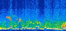 /calipso-imagery/data/BROWSE/production/V5-00/2014-05-06/2014-05-06_23-25-03_V5.00_3_thmb.png image missing