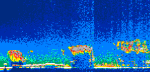 /calipso-imagery/data/BROWSE/production/V5-00/2014-05-07/2014-05-07_02-42-48_V5.00_1_thmb.png image missing