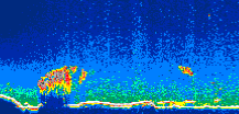 /calipso-imagery/data/BROWSE/production/V5-00/2014-05-07/2014-05-07_04-21-43_V5.00_1_thmb.png image missing