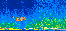/calipso-imagery/data/BROWSE/production/V5-00/2014-05-07/2014-05-07_17-32-50_V5.00_3_thmb.png image missing