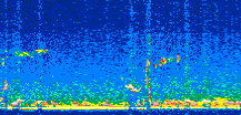 /calipso-imagery/data/BROWSE/production/V5-00/2014-05-07/2014-05-07_22-29-31_V5.00_2_thmb.png image missing