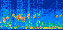 /calipso-imagery/data/BROWSE/production/V5-00/2014-05-08/2014-05-08_03-26-06_V5.00_2_thmb.png image missing