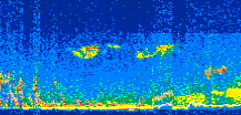 /calipso-imagery/data/BROWSE/production/V5-00/2014-05-08/2014-05-08_10-01-42_V5.00_2_thmb.png image missing