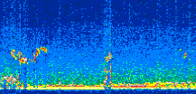 /calipso-imagery/data/BROWSE/production/V5-00/2014-05-08/2014-05-08_23-12-49_V5.00_2_thmb.png image missing