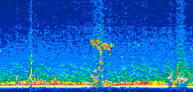 /calipso-imagery/data/BROWSE/production/V5-00/2014-05-17/2014-05-17_00-02-49_V5.00_2_thmb.png image missing