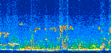 /calipso-imagery/data/BROWSE/production/V5-00/2014-05-17/2014-05-17_04-59-30_V5.00_2_thmb.png image missing