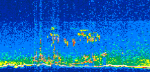 /calipso-imagery/data/BROWSE/production/V5-00/2014-05-17/2014-05-17_11-35-01_V5.00_2_thmb.png image missing