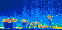 /calipso-imagery/data/BROWSE/production/V5-00/2014-05-25/2014-05-25_15-42-32_V5.00_1_thmb.png image missing