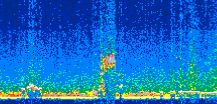 /calipso-imagery/data/BROWSE/production/V5-00/2014-05-25/2014-05-25_22-18-08_V5.00_2_thmb.png image missing