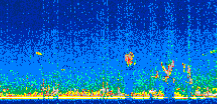 /calipso-imagery/data/BROWSE/production/V5-00/2014-05-25/2014-05-25_23-56-58_V5.00_2_thmb.png image missing