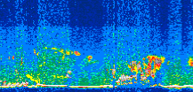 /calipso-imagery/data/BROWSE/production/V5-00/2014-06-05/2014-06-05_02-13-00_V5.00_3_thmb.png image missing