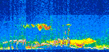 /calipso-imagery/data/BROWSE/production/V5-00/2014-06-10/2014-06-10_10-45-52_V5.00_2_thmb.png image missing