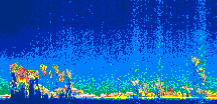 /calipso-imagery/data/BROWSE/production/V5-00/2014-06-16/2014-06-16_00-15-40_V5.00_1_thmb.png image missing