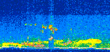 /calipso-imagery/data/BROWSE/production/V5-00/2014-06-16/2014-06-16_11-47-51_V5.00_2_thmb.png image missing