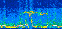 /calipso-imagery/data/BROWSE/production/V5-00/2014-06-16/2014-06-16_21-41-07_V5.00_2_thmb.png image missing