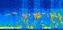 /calipso-imagery/data/BROWSE/production/V5-00/2014-06-19/2014-06-19_05-43-15_V5.00_2_thmb.png image missing