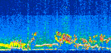 /calipso-imagery/data/BROWSE/production/V5-00/2014-06-19/2014-06-19_10-39-55_V5.00_3_thmb.png image missing