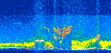 /calipso-imagery/data/BROWSE/production/V5-00/2014-06-19/2014-06-19_12-18-46_V5.00_2_thmb.png image missing