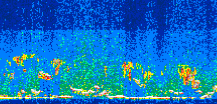 /calipso-imagery/data/BROWSE/production/V5-00/2014-06-19/2014-06-19_15-36-31_V5.00_3_thmb.png image missing