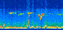 /calipso-imagery/data/BROWSE/production/V5-00/2014-06-19/2014-06-19_23-50-57_V5.00_2_thmb.png image missing