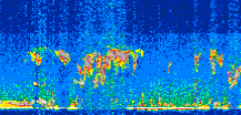 /calipso-imagery/data/BROWSE/production/V5-00/2014-06-20/2014-06-20_03-08-48_V5.00_2_thmb.png image missing