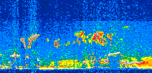 /calipso-imagery/data/BROWSE/production/V5-00/2014-06-20/2014-06-20_08-05-23_V5.00_2_thmb.png image missing