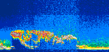 /calipso-imagery/data/BROWSE/production/V5-00/2014-06-20/2014-06-20_09-44-18_V5.00_1_thmb.png image missing