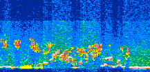 /calipso-imagery/data/BROWSE/production/V5-00/2014-06-20/2014-06-20_21-16-30_V5.00_3_thmb.png image missing