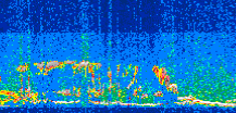 /calipso-imagery/data/BROWSE/production/V5-00/2014-06-23/2014-06-23_05-18-32_V5.00_3_thmb.png image missing