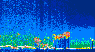 /calipso-imagery/data/BROWSE/production/V5-00/2014-06-23/2014-06-23_08-36-18_V5.00_4_thmb.png image missing