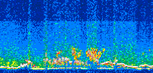 /calipso-imagery/data/BROWSE/production/V5-00/2014-06-23/2014-06-23_10-15-13_V5.00_3_thmb.png image missing