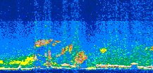 /calipso-imagery/data/BROWSE/production/V5-00/2014-06-23/2014-06-23_11-54-03_V5.00_3_thmb.png image missing