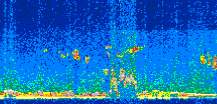 /calipso-imagery/data/BROWSE/production/V5-00/2014-06-23/2014-06-23_21-47-25_V5.00_2_thmb.png image missing