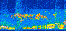 /calipso-imagery/data/BROWSE/production/V5-00/2014-06-24/2014-06-24_07-40-41_V5.00_2_thmb.png image missing