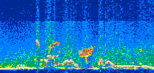 /calipso-imagery/data/BROWSE/production/V5-00/2014-06-24/2014-06-24_10-58-26_V5.00_3_thmb.png image missing