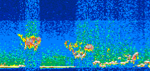 /calipso-imagery/data/BROWSE/production/V5-00/2014-06-24/2014-06-24_15-55-07_V5.00_3_thmb.png image missing